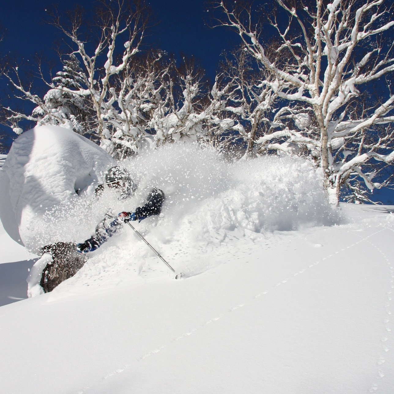 Western Hokkaido tour photo 1