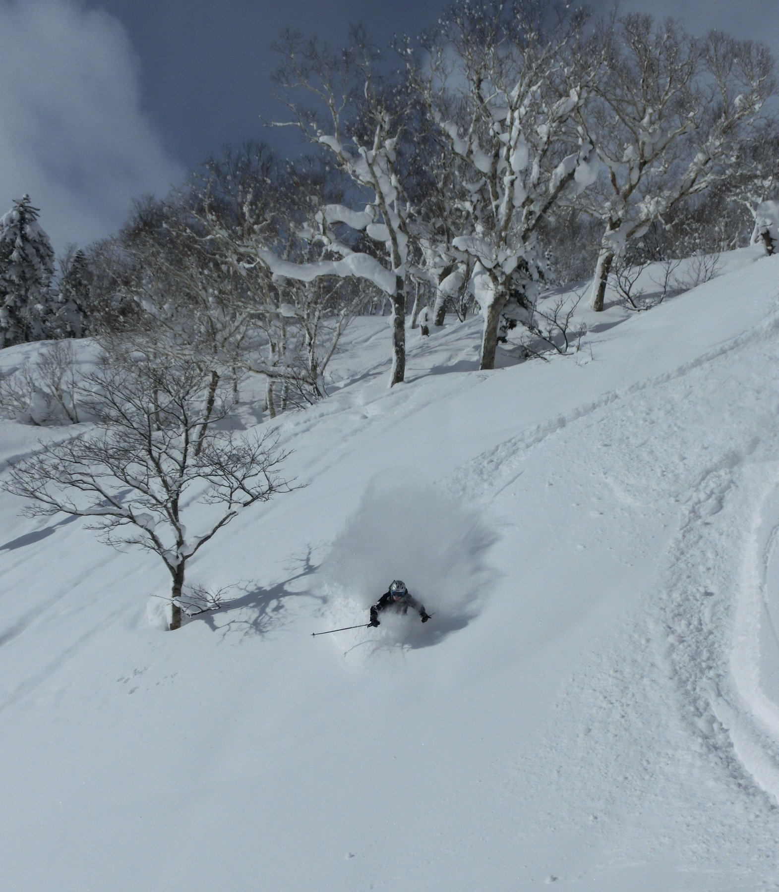 Western Hokkaido tour photo 10