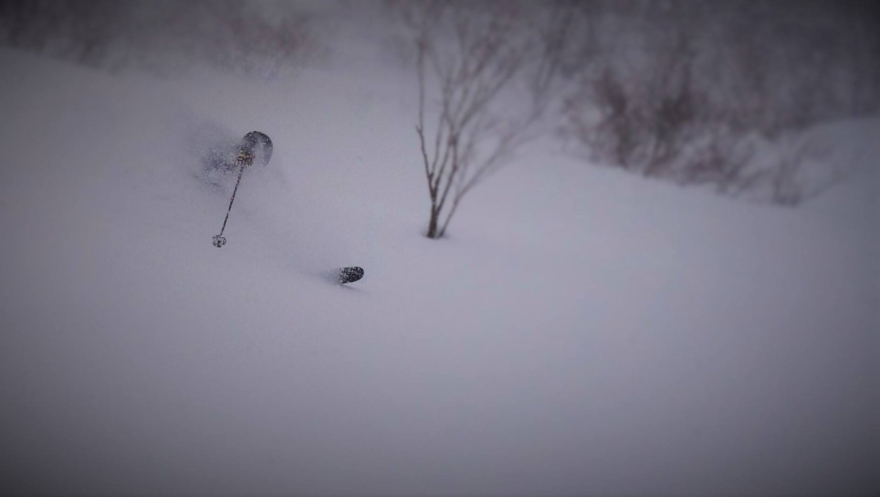 Western Hokkaido tour photo 14