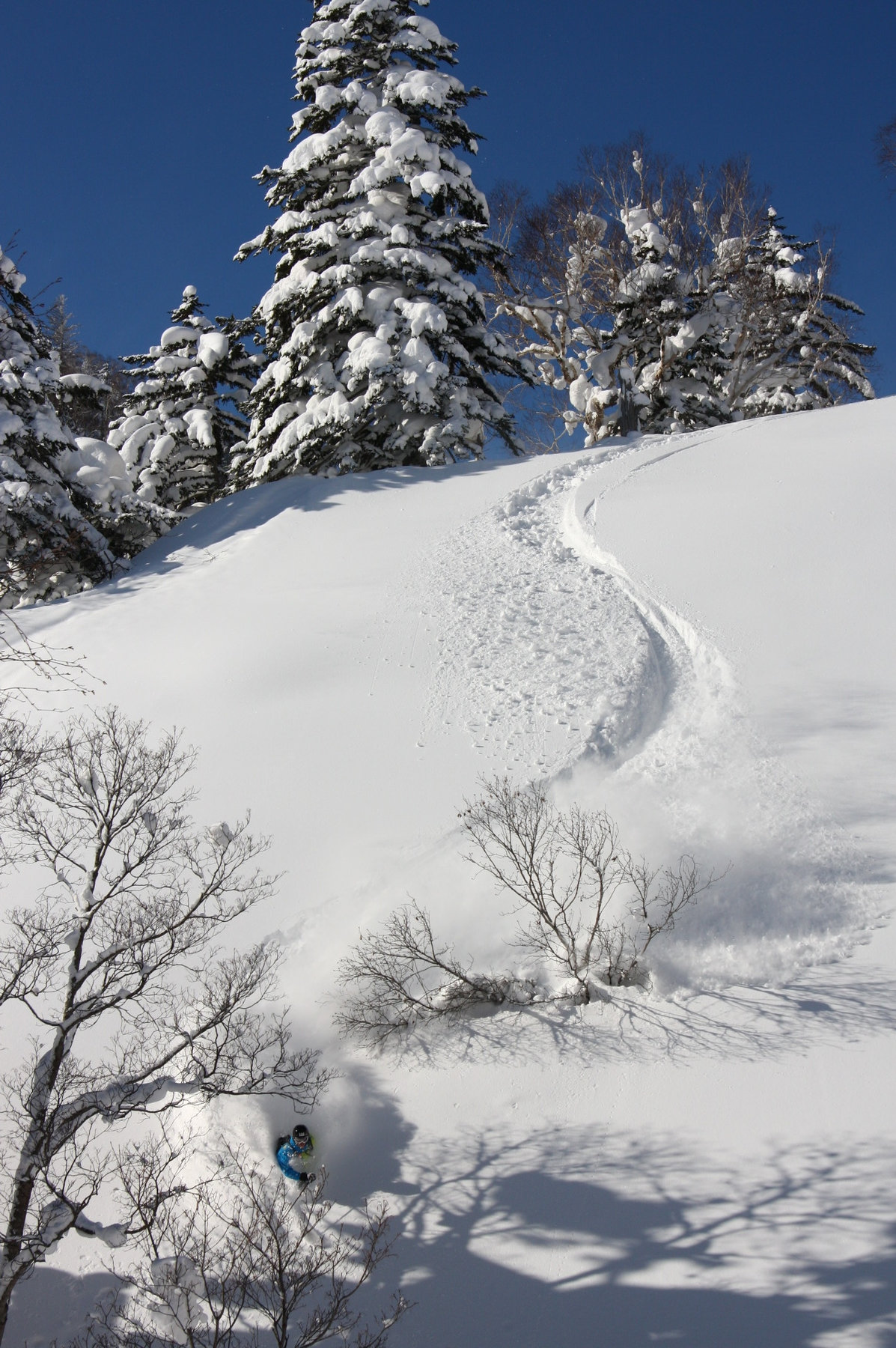 Western Hokkaido tour photo 4