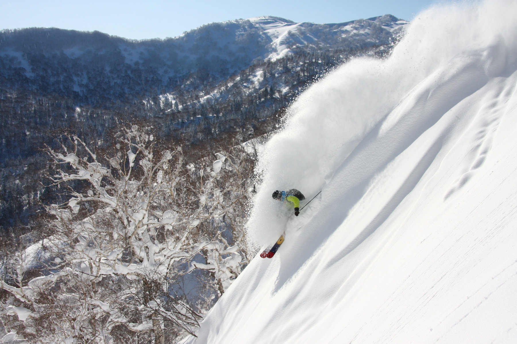 Skiing in deep powder snow in Japan