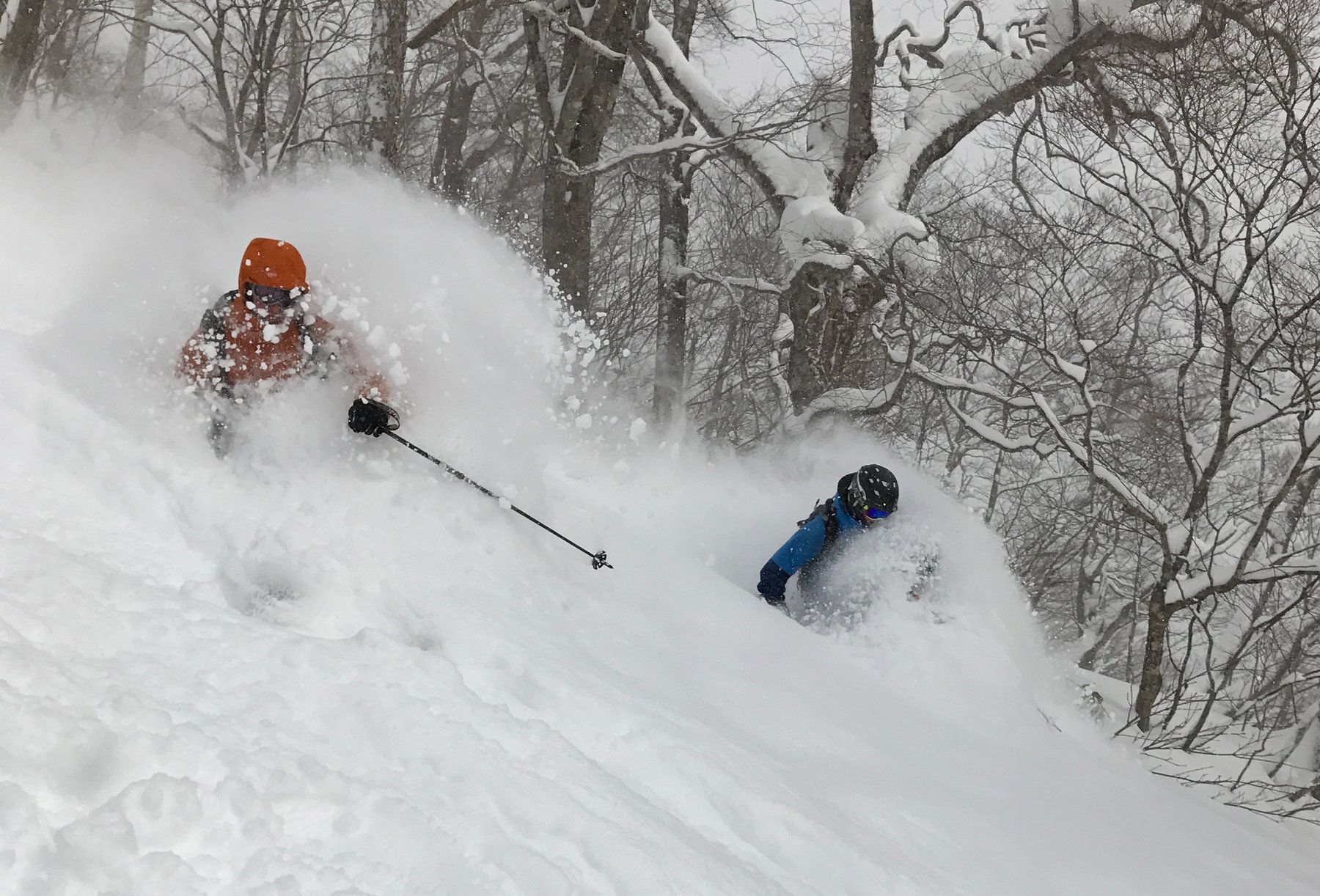 Friends enjoying powder turns together in Japan