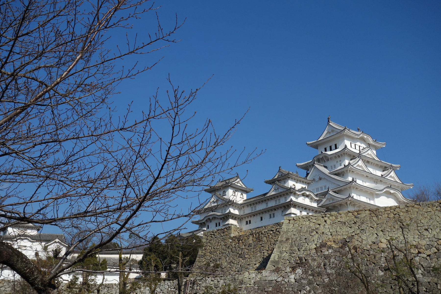 Japan Classics tour photo 16