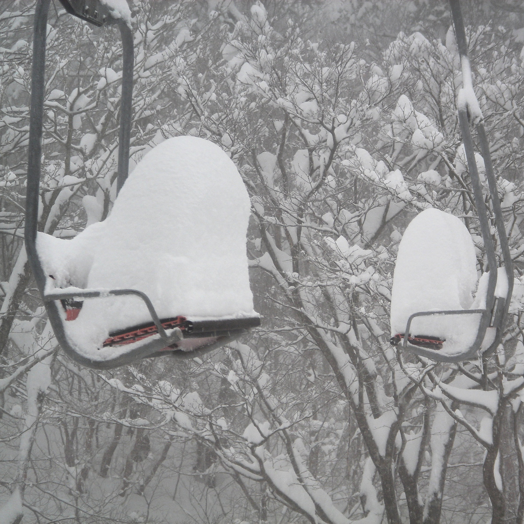 Nagano Niigata tour photo 2