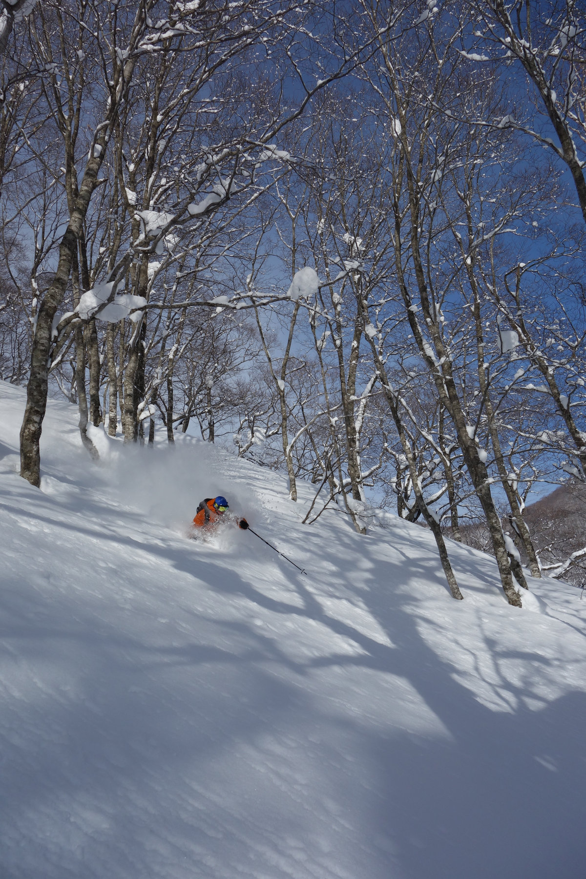 Nagano Niigata tour