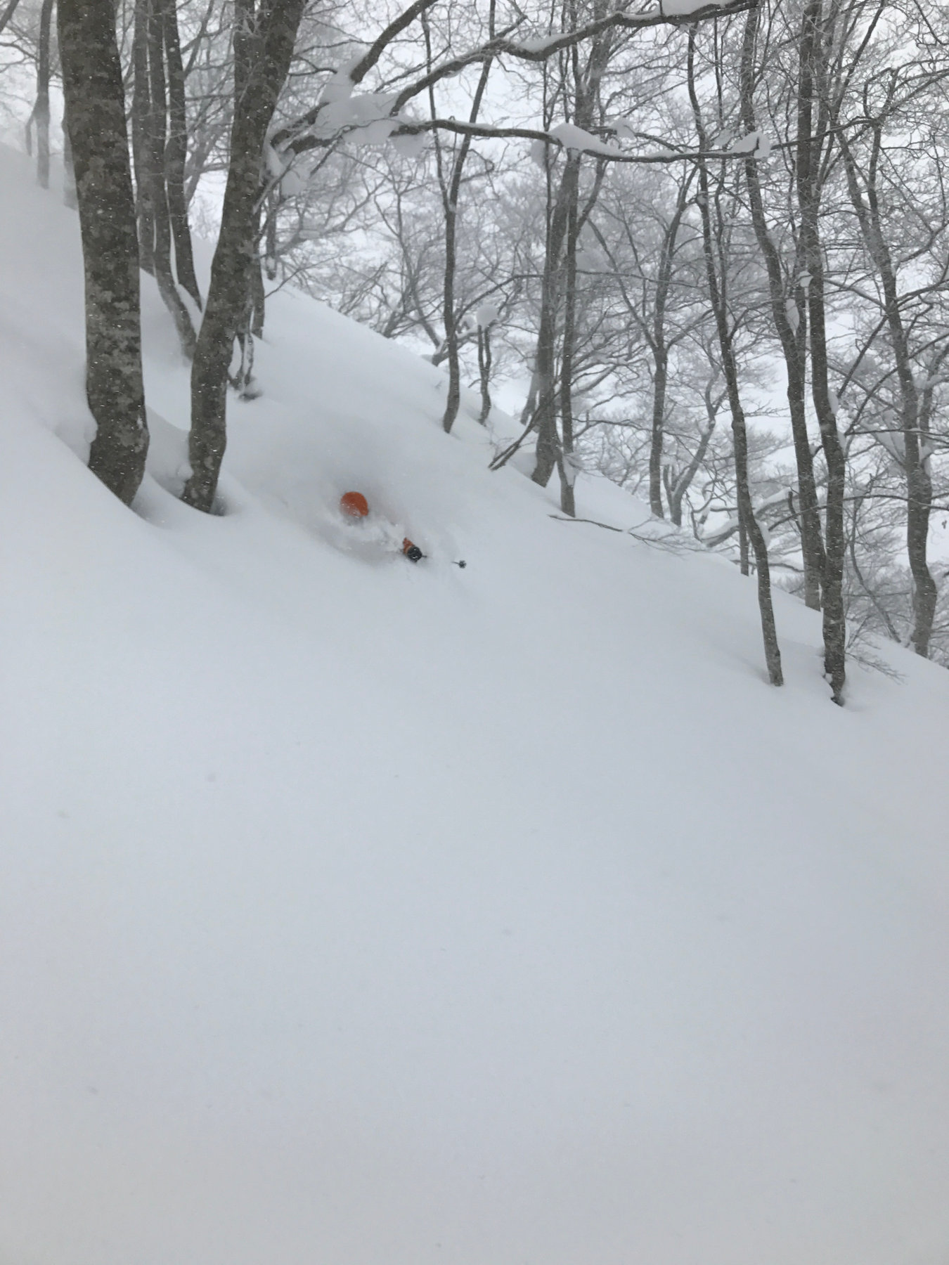 Tohoku tour photo 1