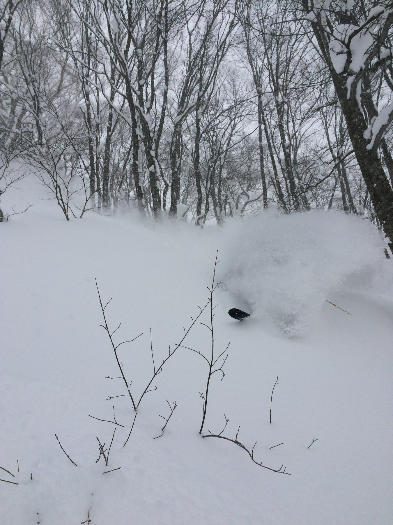 Tohoku tour photo 8
