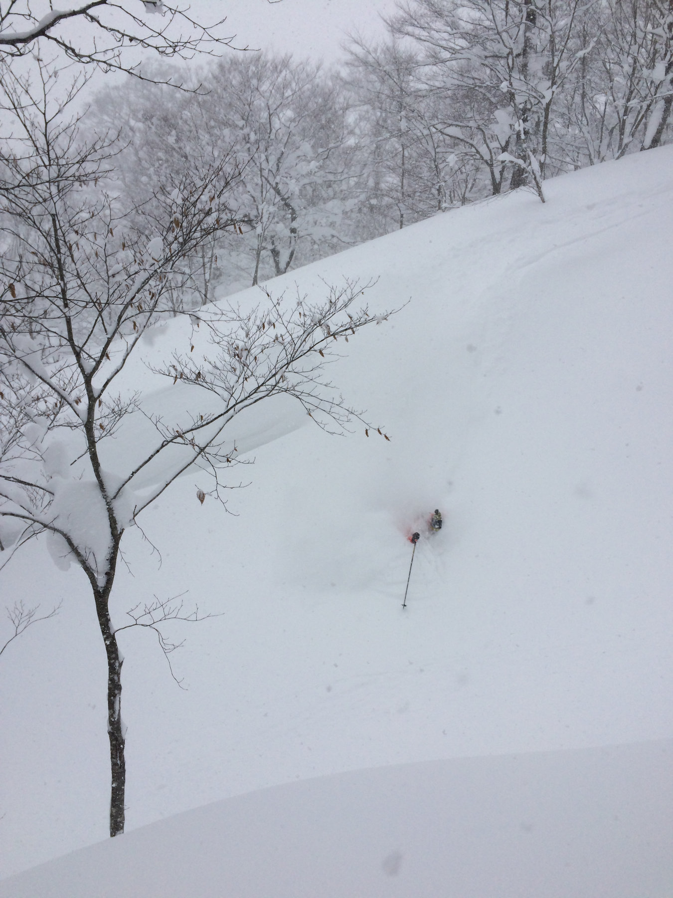 Tohoku tour